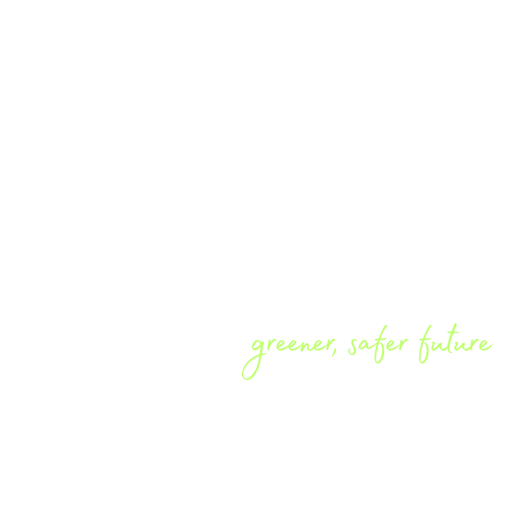 Ecoflame Logo